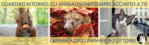 Manifesto della Giornata Nazionale degli Animali (orizzontale) – Fonte: ENPA