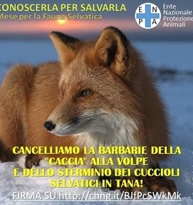 La petizione contro la caccia alla volpe (orizzontale) – Fonte: ENPA