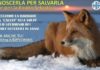 La petizione contro la caccia alla volpe (orizzontale) – Fonte: ENPA