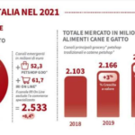 Il mercato italiano nel 2021 – Rapporto Assalco Zoomark 2022