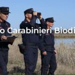 Reparto Carabinieri BiodiversitÃ  di Roma-Sito Arma CC