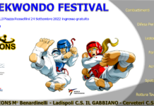Taekwondo festival