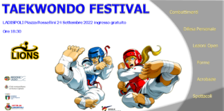 Taekwondo festival
