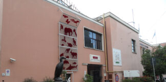museo civico zoologia