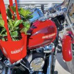 AISM 2023 – Gardenia con Harley Davidson