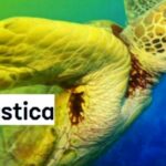 La petizione per proteggere gli oceani-Plastica- Greenpeace