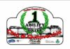 ability drive