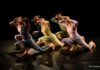 Nuovi vettori evolutivi danza